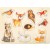 Puzzle à poser "Animaux de la forêt"